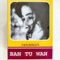 Ban Tu Wan - Hair