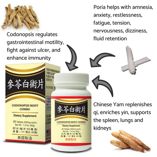 Codonopsis Root Combination - Support Digestive System